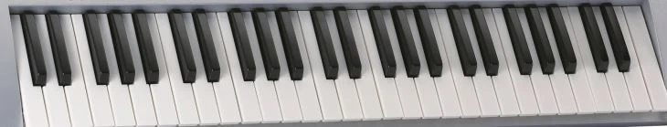 61 Key Electronic Orange