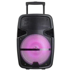 Altavoz de 15 pulgadas